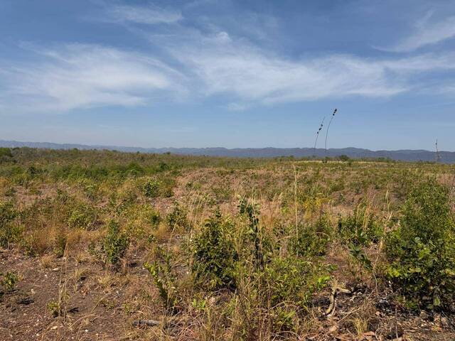 #3 - Fazenda para Venda em Paranã - TO