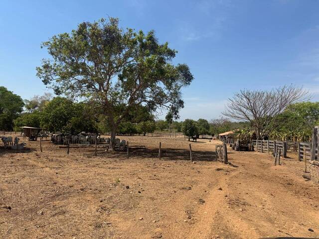 #3 - Fazenda para Venda em Paranã - TO