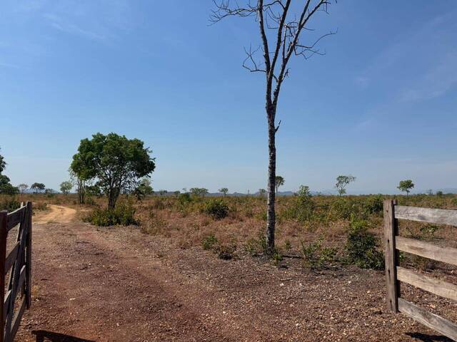 #3 - Fazenda para Venda em Paranã - TO