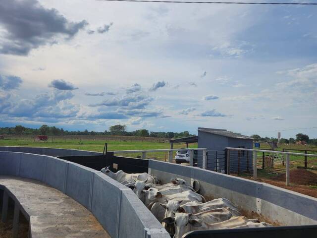 #7 - Fazenda para Venda em Araguaçu - TO