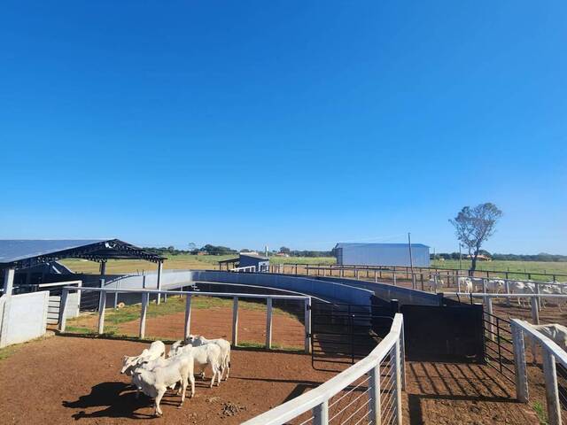 #7 - Fazenda para Venda em Araguaçu - TO