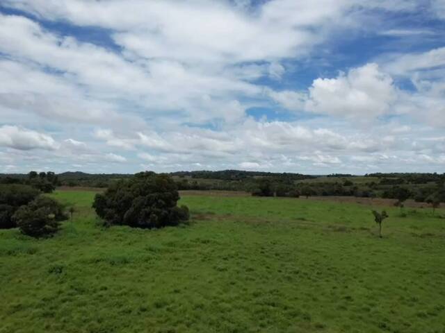 #5 - Fazenda para Venda em Araguaçu - TO