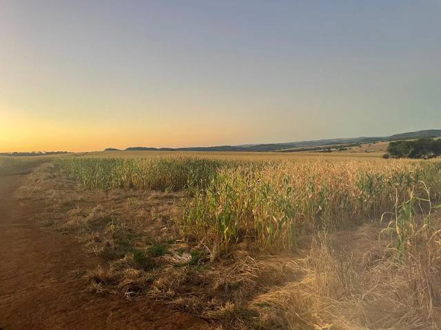 Fazenda para Venda em Mineiros - 5