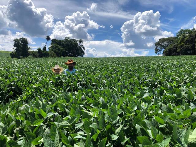 Fazenda para Venda em Mineiros - 2