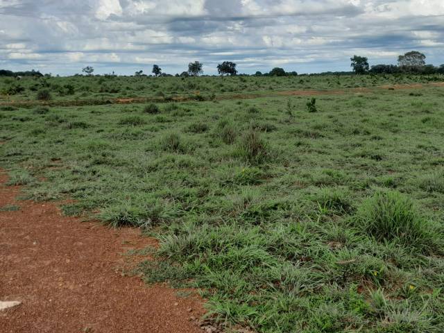 #13 - Fazenda para Venda em Araguaçu - TO