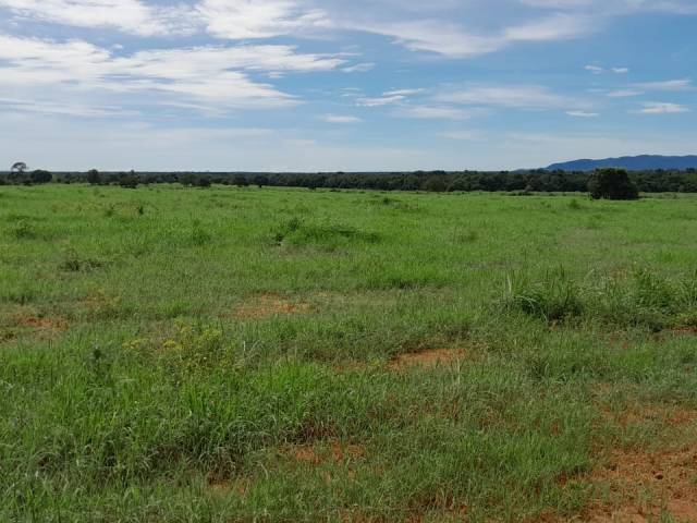 #13 - Fazenda para Venda em Araguaçu - TO