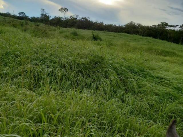 #14 - Fazenda para Venda em São Valério da Natividade - TO