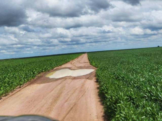 #15 - Fazenda para Venda em Goiânia - GO