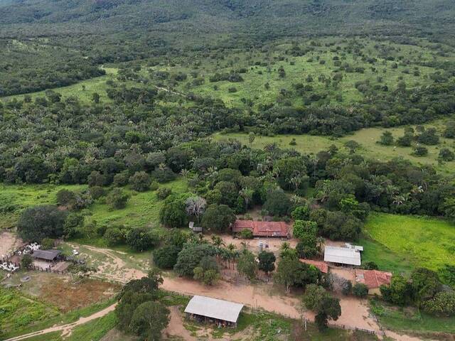 #17 - Fazenda para Venda em Palmeirópolis - TO - 1