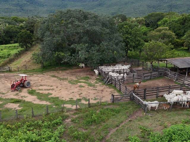 #17 - Fazenda para Venda em Palmeirópolis - TO - 2
