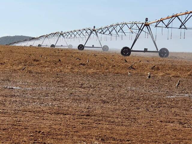 Fazenda para Venda em Santa Rita do Novo Destino - 4