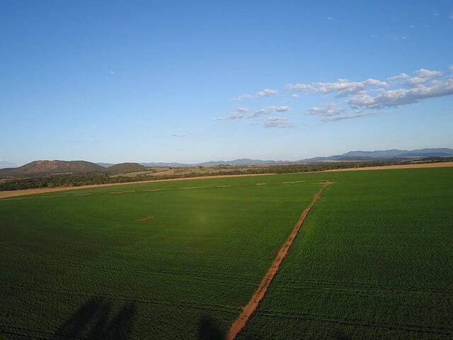 #19 - Fazenda para Venda em Santa Rita do Novo Destino - GO - 2