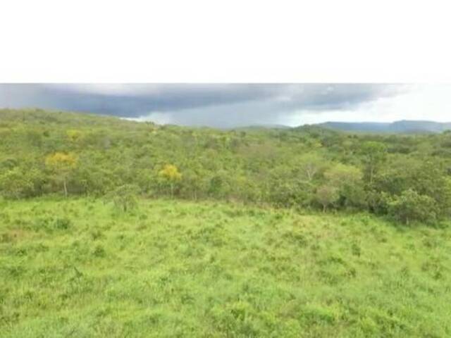 Fazenda para Venda em São Salvador do Tocantins - 4