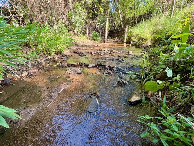 #25 - Fazenda para Venda em Goiânia - GO - 3