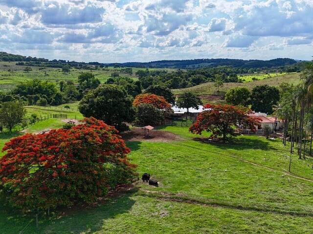 #25 - Fazenda para Venda em Goiânia - GO - 2