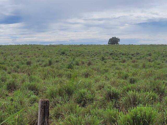#28 - Fazenda para Venda em Paranã - TO