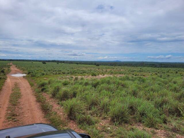 #28 - Fazenda para Venda em Paranã - TO