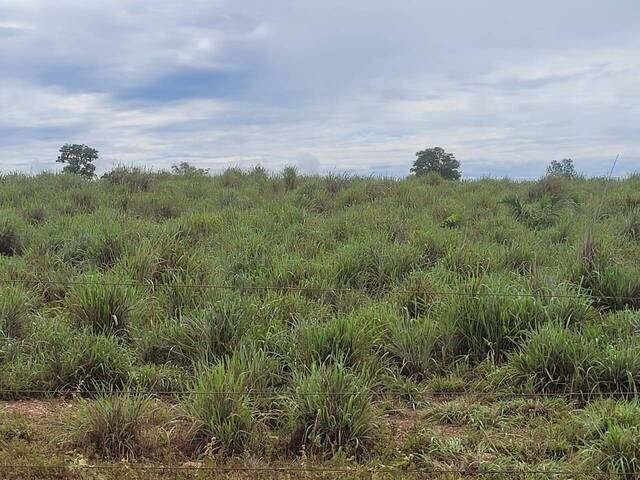 #28 - Fazenda para Venda em Paranã - TO