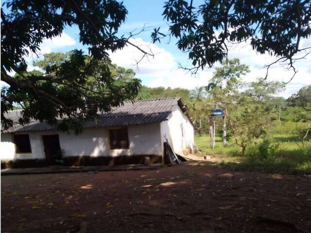 #29 - Fazenda para Venda em Paranã - TO