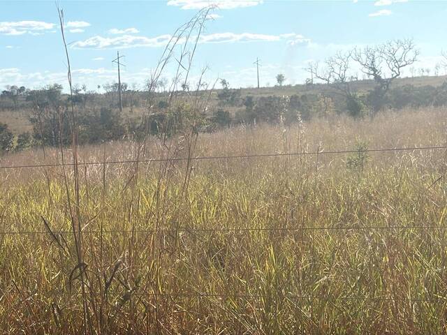 #31 - Fazenda para Venda em Paranã - TO - 3