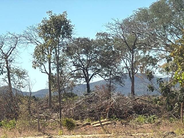 #32 - Fazenda para Venda em Paranã - TO - 3