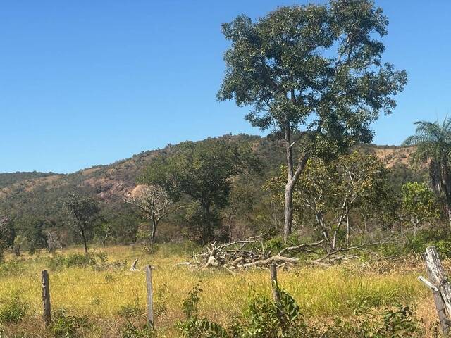 #32 - Fazenda para Venda em Paranã - TO - 2