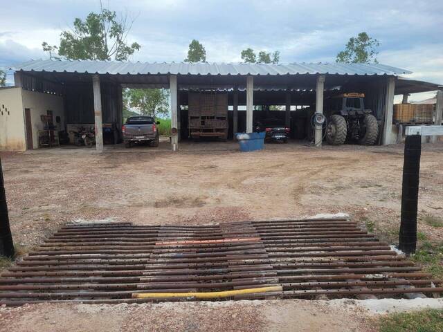 #33 - Fazenda para Venda em Paranã - TO - 3