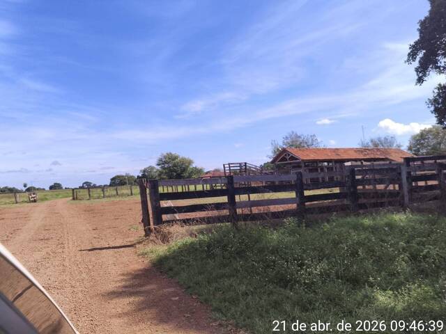 #34 - Fazenda para Venda em Araguaçu - TO