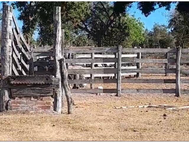 #35 - Fazenda para Venda em São Valério da Natividade - TO