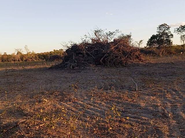 #36 - Fazenda para Venda em Paranã - TO