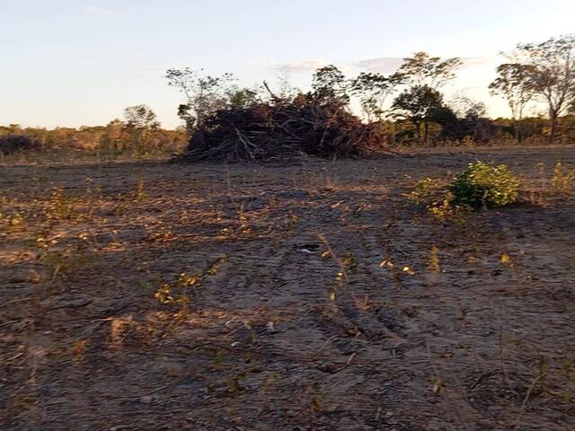 #36 - Fazenda para Venda em Paranã - TO