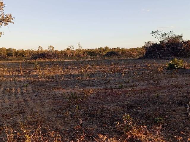 #36 - Fazenda para Venda em Paranã - TO