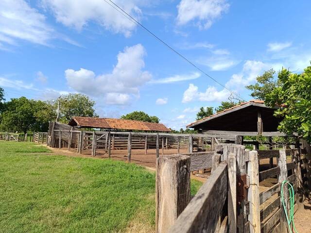 #43 - Fazenda para Venda em Araguaçu - TO - 2