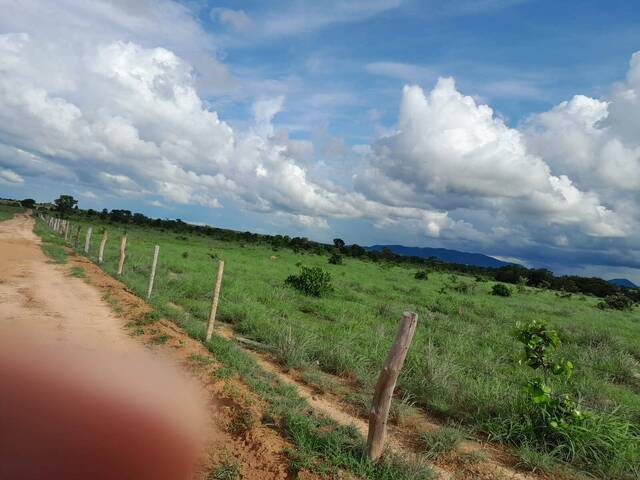 #44 - Fazenda para Venda em Araguaçu - TO - 3