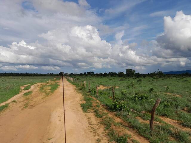 #44 - Fazenda para Venda em Araguaçu - TO - 2