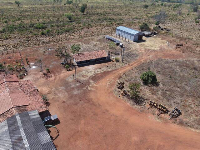 #45 - Fazenda para Venda em Paranã - TO - 3