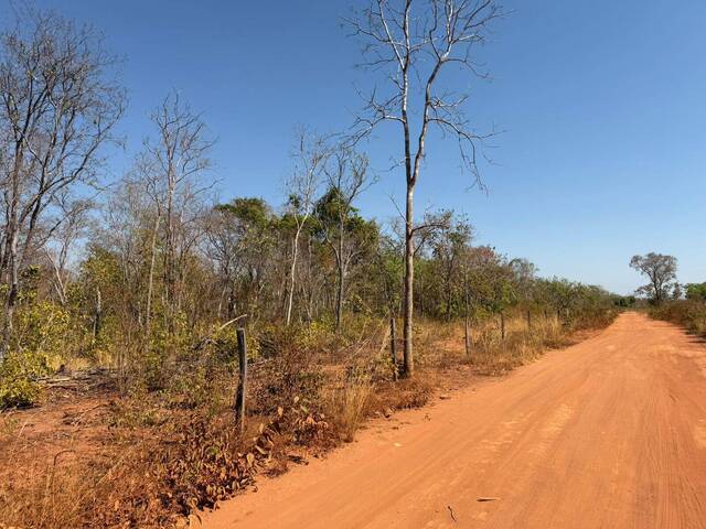 #45 - Fazenda para Venda em Paranã - TO - 2