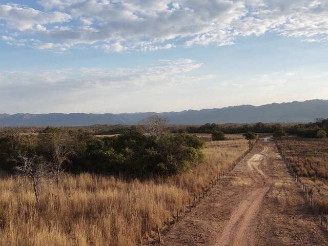 #46 - Fazenda para Venda em Paranã - TO - 2