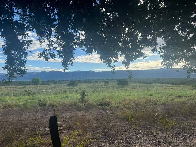 #46 - Fazenda para Venda em Paranã - TO - 3